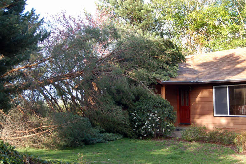 Wind Damage Repair in Lansing, MI