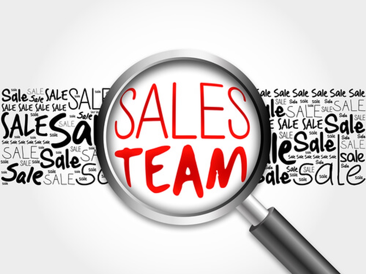 should hire a direct sales team should hire a direct sales team