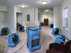 Should a Restoration Company Startup Begin as a Mitigation-Only or Full-Service Company?