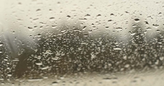 Don’t Let Mold Sneak Into Your Home This Summer