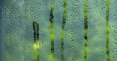 Hot Outside and Cold Inside – How Condensation Can Cause Problems in Your Home