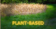 Eco-Friendly Restoration Solutions: Innovations in Materials and Techniques