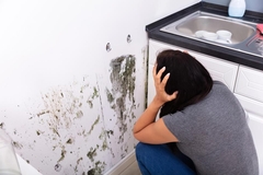 Mold Remediation and Health: Addressing Consumer Concerns with Science-Based Solutions