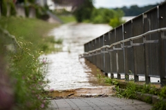 What to Know About Cat 3 Water Damage and Contamination