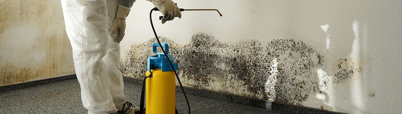 Mold Remediation