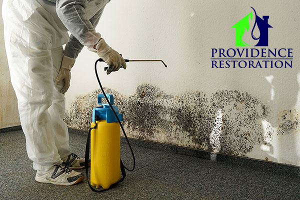 Mold Abatement in Concord, NC