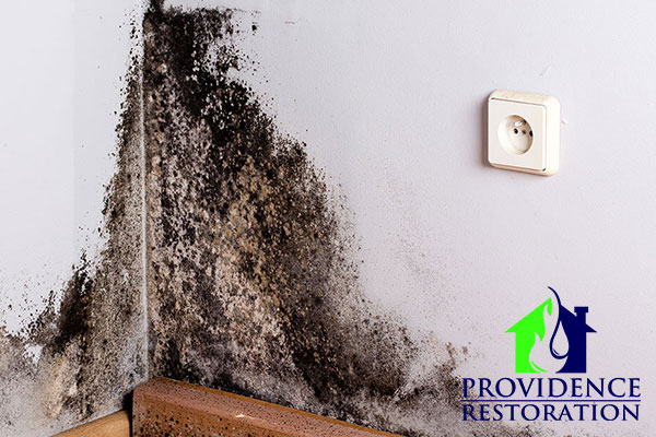 Mold Mitigation in Monroe, NC