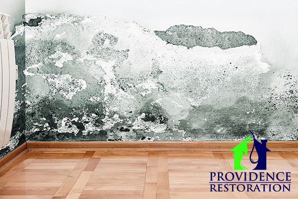 Mold Abatement in Weddington, NC