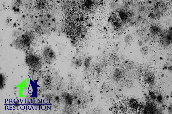 Mold Abatement in Lake Park, NC