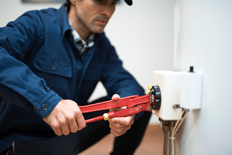 Mold Removal and Remediation Contractors