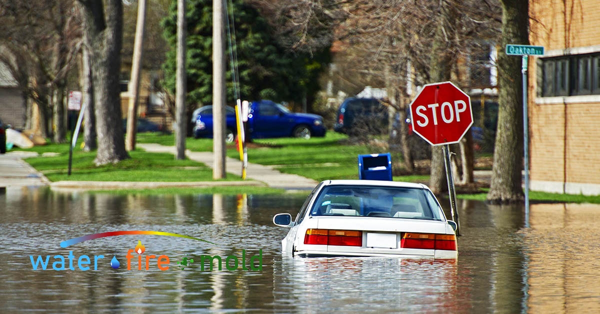 Water Damage Remediation in Oliver Springs, TN