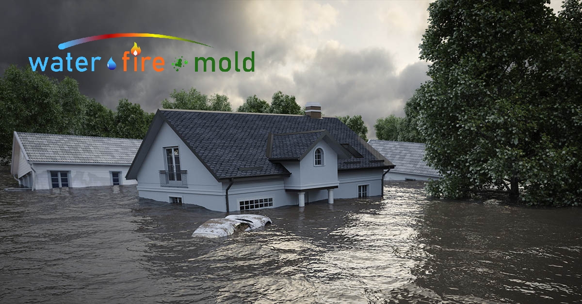 Water Mitigation in Kingston, TN