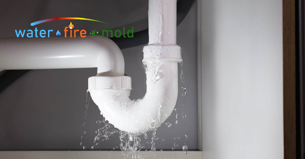 Water Damage Mitigation in Sunbright, TN