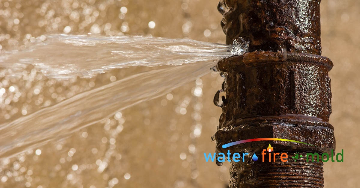 Water Mitigation in Wartburg, TN