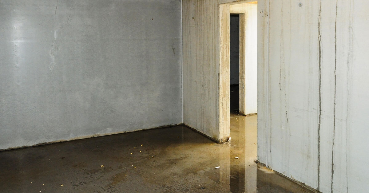 What's Causing Water In Your Basement or Crawlspace?