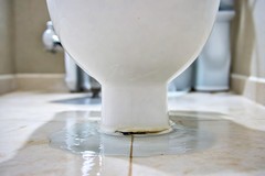 Causes of Why My Toilet Is Leaking From the Bottom