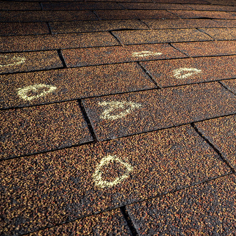 Roof Damage & Repair in Warren, MI