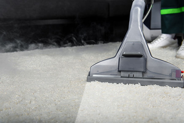 Carpet and Hardwood Floor Cleaning in Warren, MI