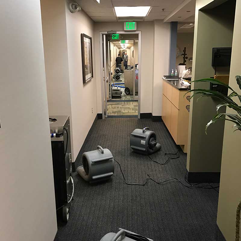 Commercial Damage Restoration in Warren, MI