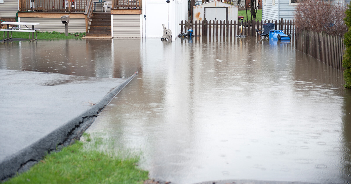 Professional Flood Damage Restoration in Woodlawn, MD