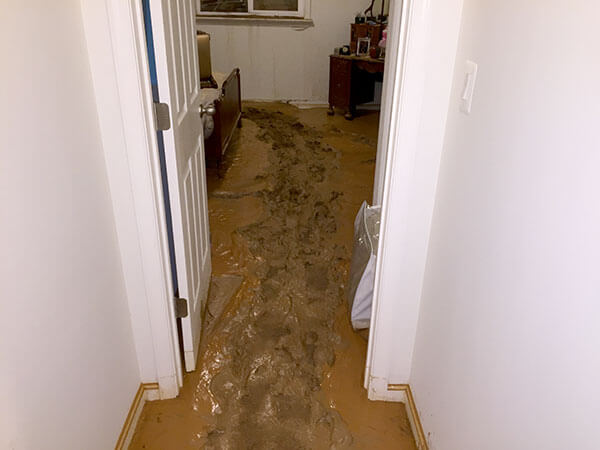 Flood Damage Cleanup and Repair in Westminster, MD