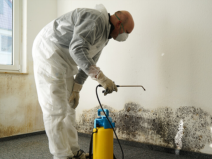 Mold Mitigation Mold Mitigation in Finksburg, MD