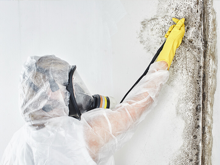 Mold Damage Restoration Mold Damage Restoration in Manchester, MD