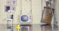 What Are The Different Categories Of Water Damage?