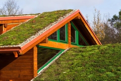 Top 5 Roofing Innovations Transforming Home Protection and Aesthetic Appeal