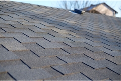 Roofing Maintenance 101: Essential Tips for Longevity and Performance