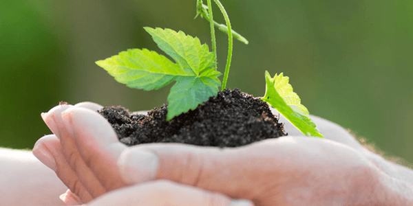 Environmental Testing in Irvine, CA - Orange County