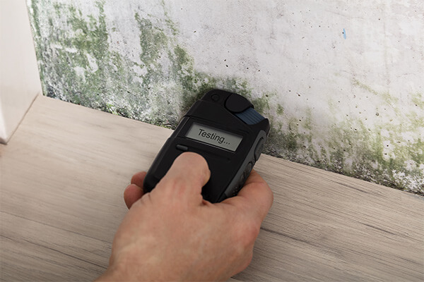 Mold Testing in Coto De Caza, CA