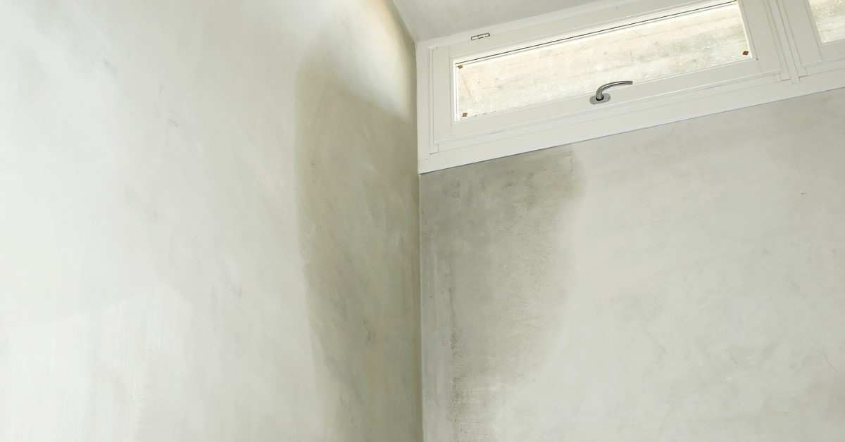 The Vital Role of Professional Moisture Testing in Water Damage Restoration