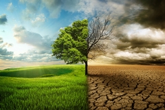 Fire and Water Damage Restoration Post-Climate Change: Rising Demand and Solutions