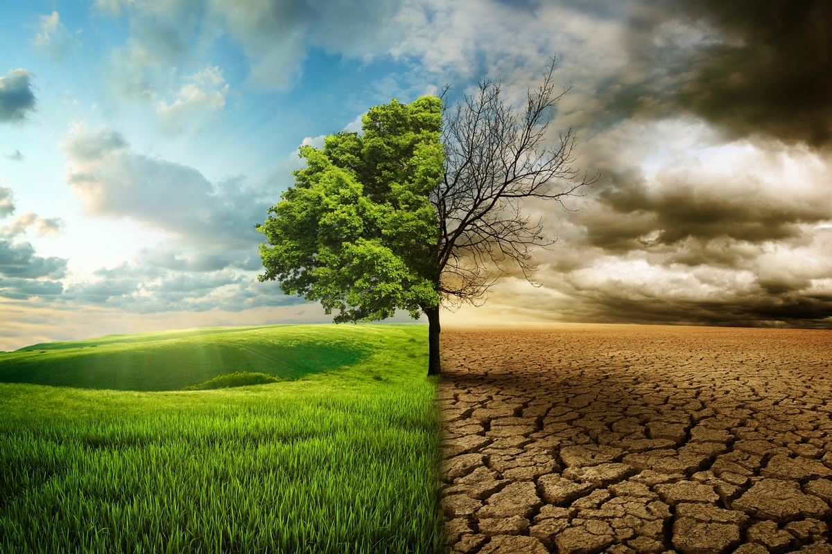 Fire and Water Damage Restoration Post-Climate Change: Rising Demand and Solutions
