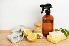 The Future of Franchising: Opportunities and Challenges in the Cleaning Sector