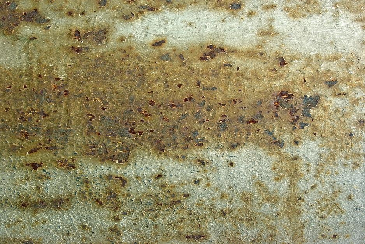 Can Mold Grow on Metal? What Homeowners Should Know