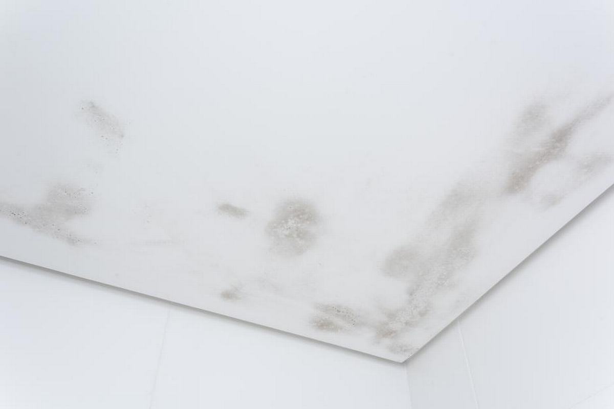 How to Remove Mold From Bathroom Ceiling Step by Step