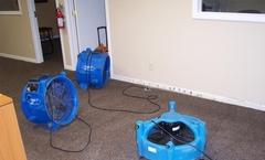 Steps to Dry Rug After Flood Damage