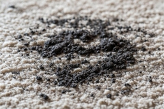 Get Soot Out of Carpet After Fire Damage