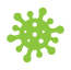Idaho Mold Remediation