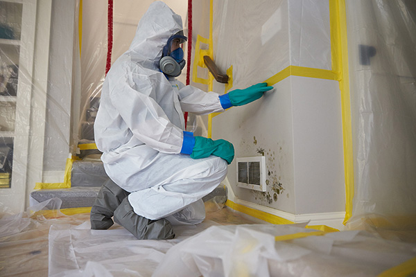 Mold Remediation in Lynchburg, VA