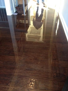 5 Essential Post-Disaster Steps: What Every Homeowner Should Do After Water, Fire, or Mold Damage