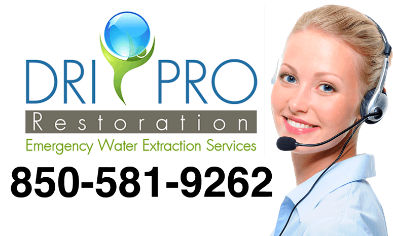 Disaster Restoration Company in Santa Rosa Beach, FL