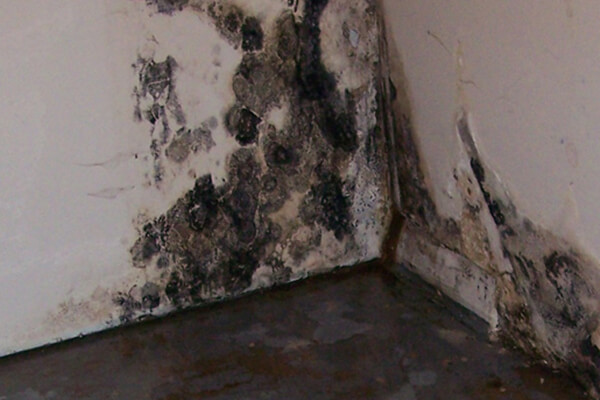 Flood Damage Cleanup in Navarre, FL