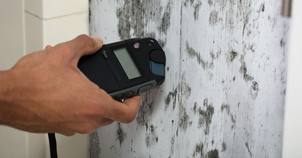 Mold Damage Restoration in Seacrest, FL