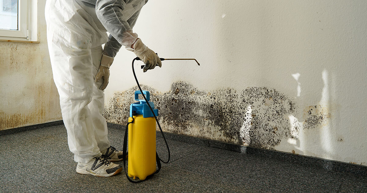 Mold Mitigation in Gulf Breeze, FL