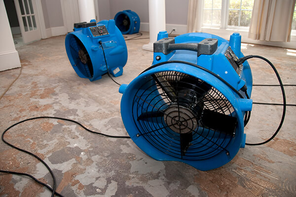 Water Damage Cleanup in Walton County, FL