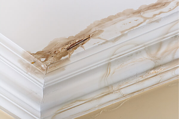 Flood Damage Restoration in Seaside, FL