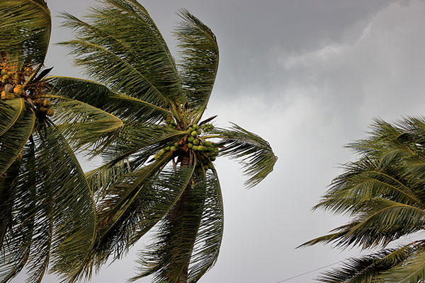 Storm Damage in Santa Rosa Beach, FL